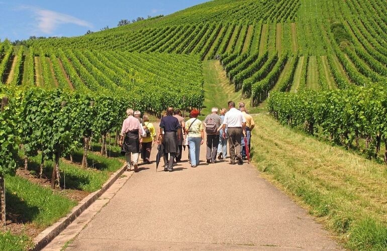 Die Weinberge im Kreis Ludwigsburg – hier bei Marbach – bieten viele Möglichkeiten zum Wandern. Die Weinberge im Kreis Ludwigsburg – hier bei Marbach – bieten viele Möglichkeiten zum Wandern.