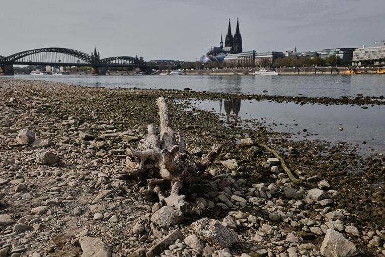 Niedrigwasser am Rhein in Köln Niedrigwasser am Rhein in Köln