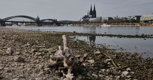 Niedrigwasser am Rhein in Köln