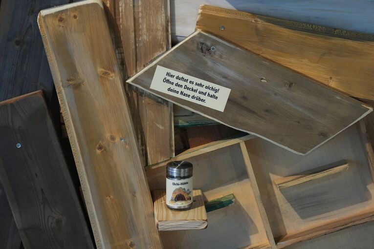 Immersive Olchis-Erlebniswelt
