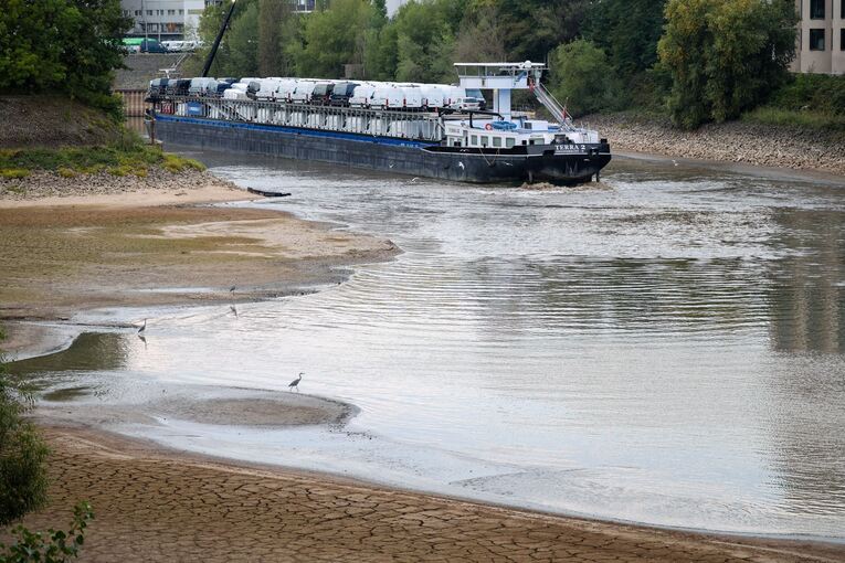 Das mit Sprintern beladene Frachtschiff Das mit Sprintern beladene Frachtschiff