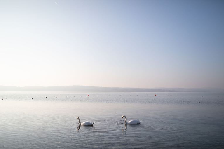 Sonniger Nachmittag am Bodensee Sonniger Nachmittag am Bodensee