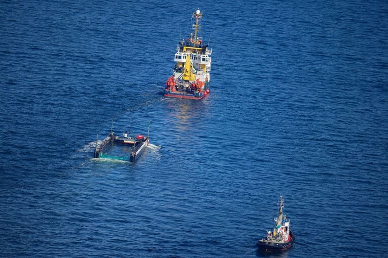 Weitere Entwicklung zum Buckelwal in der Ostsee Weitere Entwicklung zum Buckelwal in der Ostsee