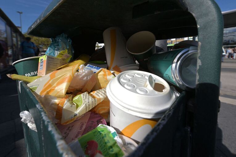 In Potsdam tritt am 1.10. die Verpackungssteuer in Kraft In Potsdam tritt am 1.10. die Verpackungssteuer in Kraft