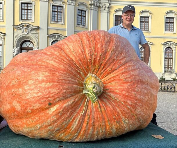 Der Sieger Mathias Würsching mit seinem Kürbis, der fast eine Tonne wiegt. Der Sieger Mathias Würsching mit seinem Kürbis, der fast eine Tonne wiegt.