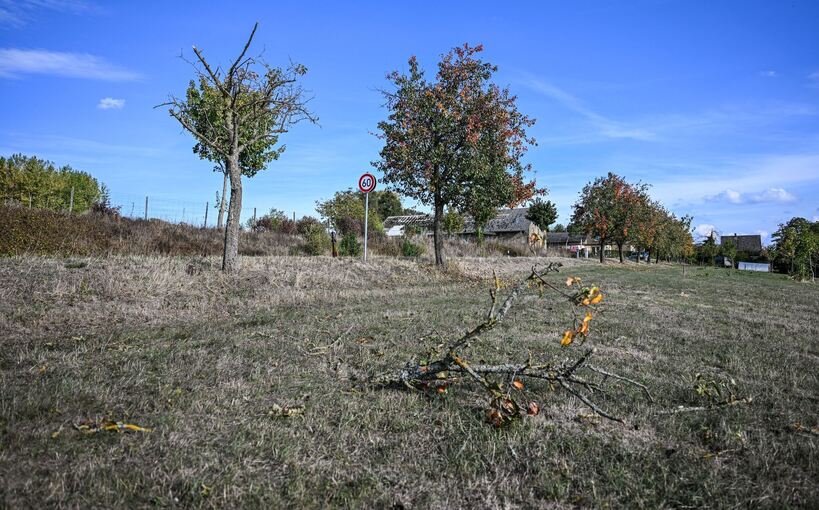 Kleinflugzeug im Landkreis Heilbronn abgestürzt Kleinflugzeug im Landkreis Heilbronn abgestürzt