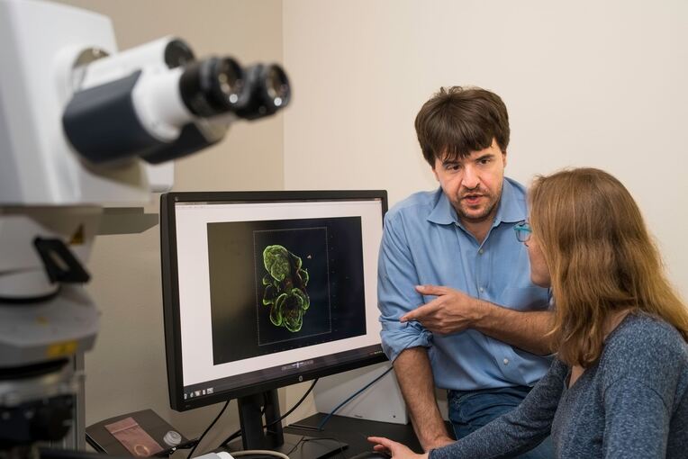 Nobelpreis für Medizin 2026 - Deisseroth Nobelpreis für Medizin 2026 - Deisseroth