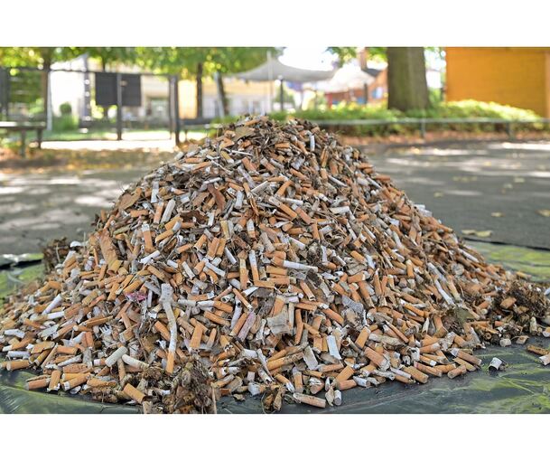 Ganze 6,5 Kilogramm – und damit rund 32.200 Zigarettenstummel – kamen bei der Sammelaktion der Stadtverwaltung zusammen. Ganze 6,5 Kilogramm – und damit rund 32.200 Zigarettenstummel – kamen bei der Sammelaktion der Stadtverwaltung zusammen.