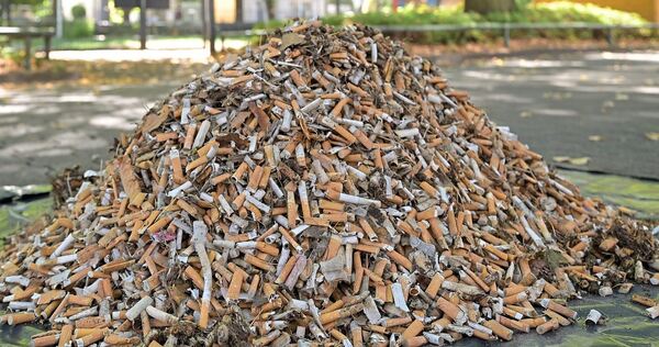 Ganze 6,5 Kilogramm – und damit rund 32.200 Zigarettenstummel – kamen bei der Sammelaktion der Stadtverwaltung zusammen. Ganze 6,5 Kilogramm – und damit rund 32.200 Zigarettenstummel – kamen bei der Sammelaktion der Stadtverwaltung zusammen.