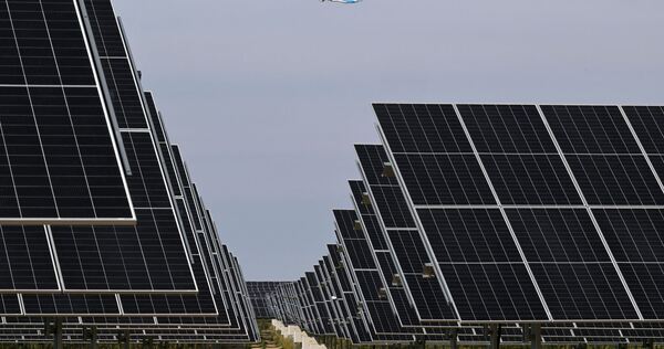 Agri-Photovoltaik-Anlage in Schönefeld