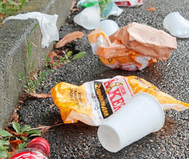 So etwas sieht man öfter in Ludwigsburg: Müll an der Bärenwiese.