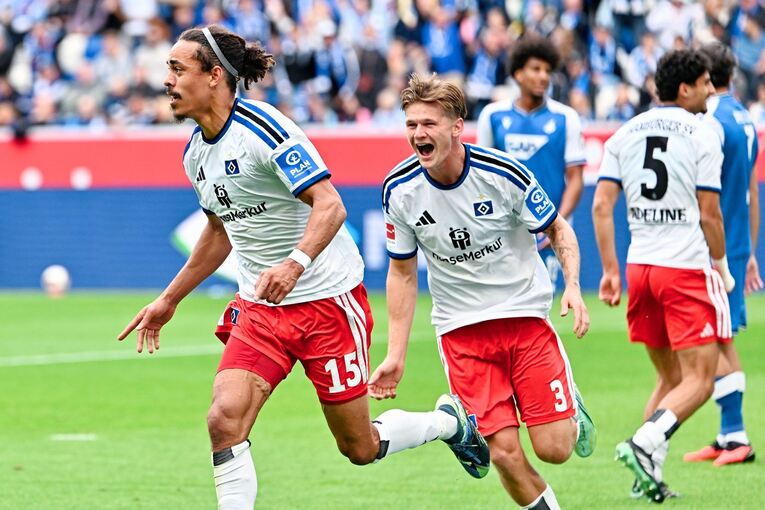 TSG 1899 Hoffenheim - Hamburger SV TSG 1899 Hoffenheim - Hamburger SV