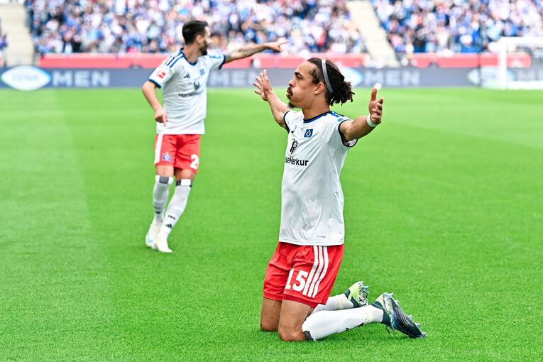 TSG 1899 Hoffenheim - Hamburger SV TSG 1899 Hoffenheim - Hamburger SV
