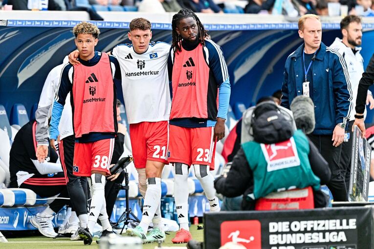 TSG 1899 Hoffenheim - Hamburger SV