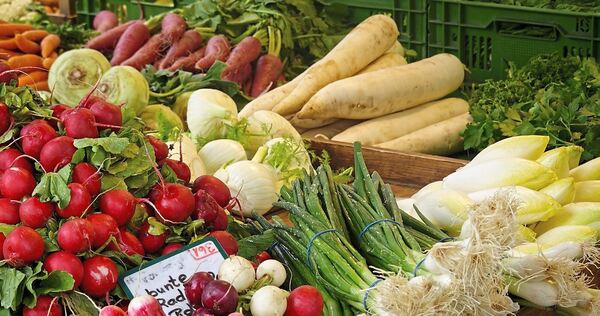 Von Hofladen bis Wochenmarkt: Die Direktvermarktung sichert den Landwirten Einkommen, fördert Bio-Angebote und stärkt den ländlichen Raum.