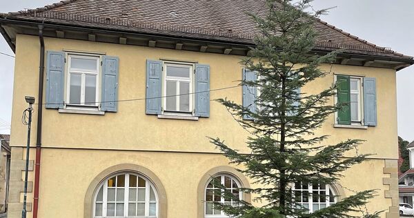 An diesem Baum hatten sich Ende 2025 die Geister geschieden.
