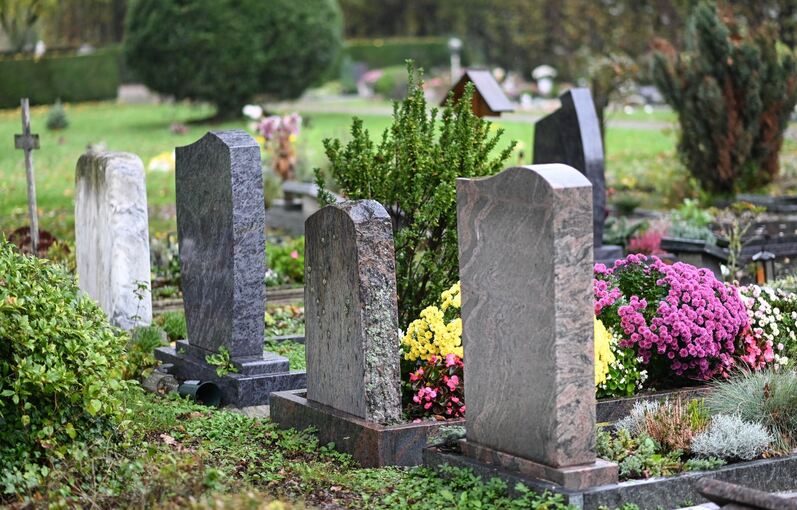 Friedhof Friedhof