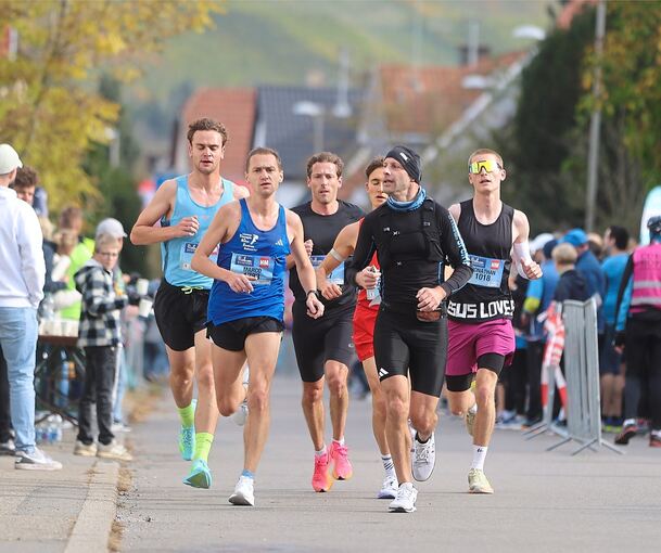 Marathonläufer sind am Wochenende wieder im Bottwartal unterwegs. Marathonläufer sind am Wochenende wieder im Bottwartal unterwegs.