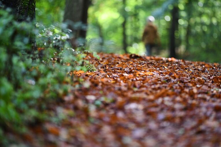 Herbst in Stuttgart Herbst in Stuttgart
