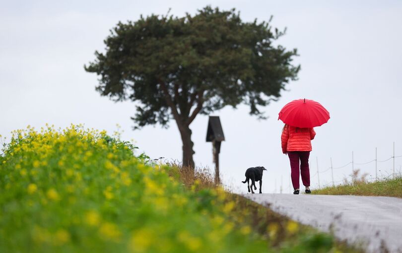Frau geht im Regen mit ihrem Hund spazieren