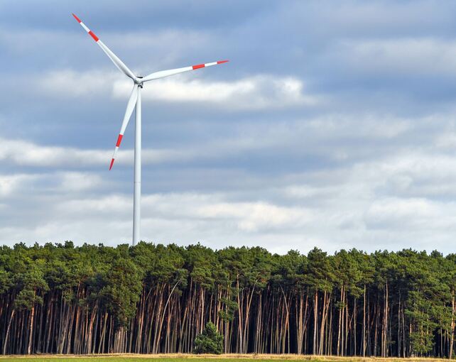 Windrad im Wald