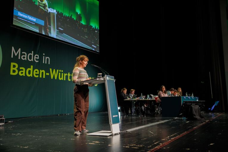 Landesdelegiertenkonferenz Grüne Baden-Württemberg Landesdelegiertenkonferenz Grüne Baden-Württemberg