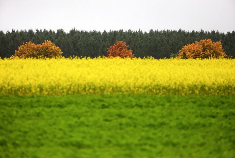 Wetter in Baden-Württemberg