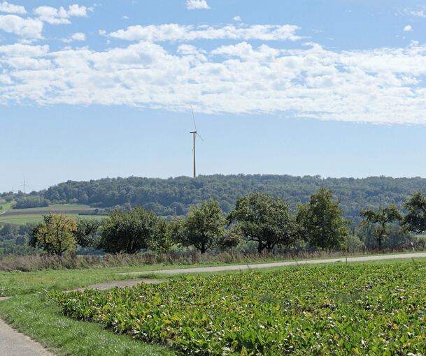 So könnte das Windrad im Unterriexinger Süden einmal aussehen: Der Rotor wird sich aber wohl frühestens in drei Jahren drehen.