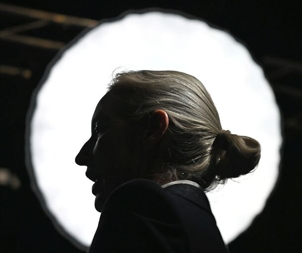 In den E-Mails geht es auch um ihre Spendenaffäre: AfD-Chefin Alice Weidel.