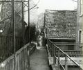 350_0900_116904_.jpg