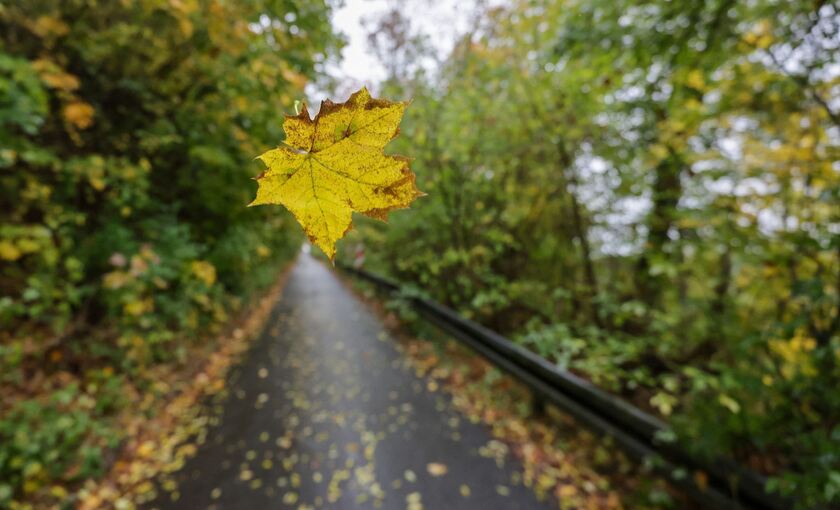 Wetter in Baden-Württemberg