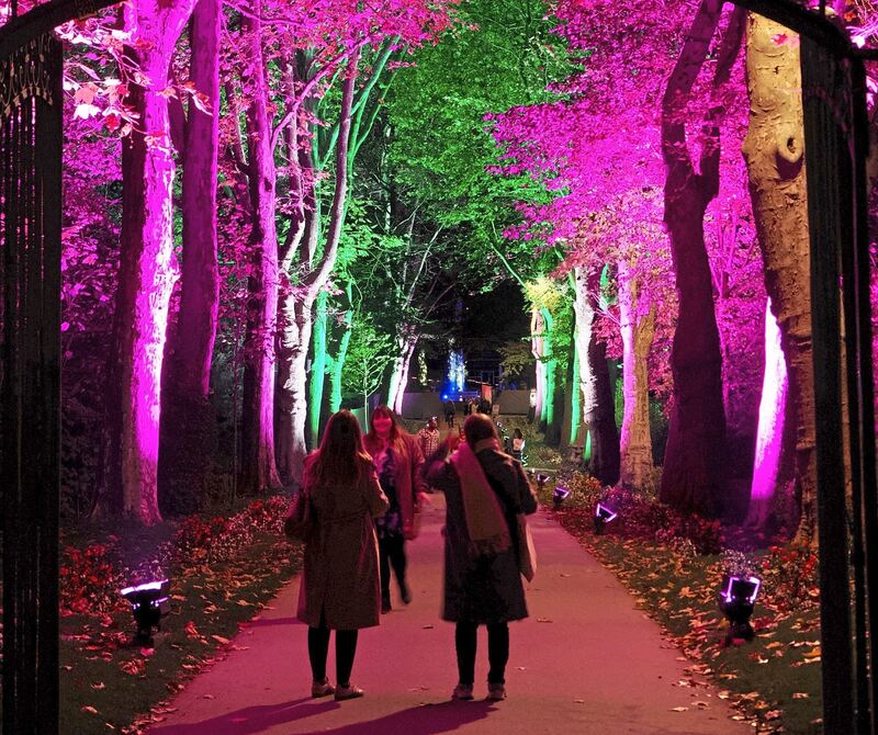 Die bunt beleuchtete Allee gibt ein gutes Fotomotiv.
