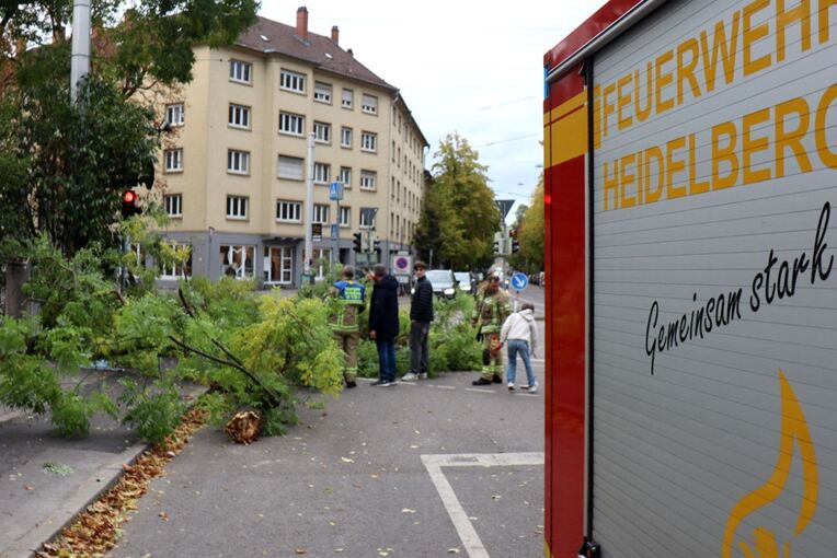Sturmtief «Luise» - Heidelberg Sturmtief «Luise» - Heidelberg