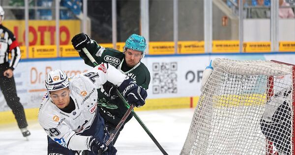 Verbissener Zweikampf hinter dem Towerstars-Tor: Steelers-Stürmer Justin Büsing (hinten) attackiert Ravensburgs Ryan Odude Verbissener Zweikampf hinter dem Towerstars-Tor: Steelers-Stürmer Justin Büsing (hinten) attackiert Ravensburgs Ryan Odude