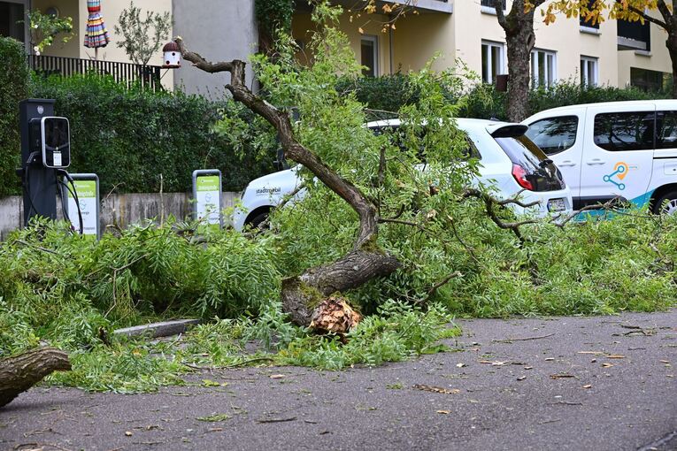 Sturm in Baden-Württemberg Sturm in Baden-Württemberg