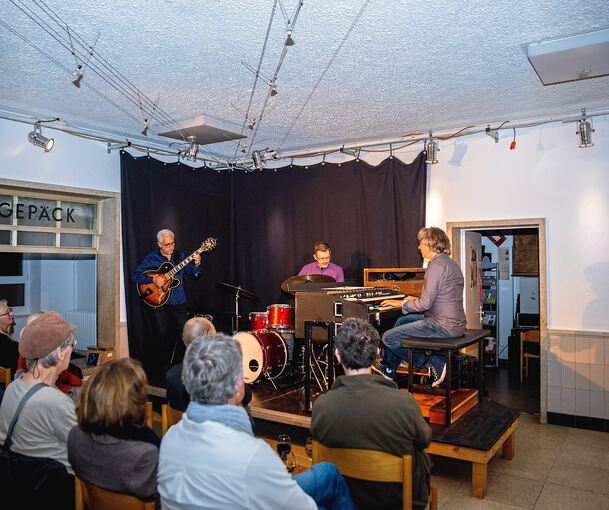 Das Lorenzo Petrocca Trio beim Auftritt in Besigheim.