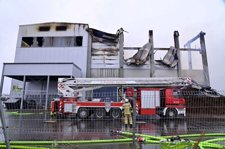 Millionenschaden bei Feuer in Gemüsebetrieb