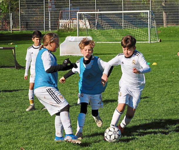 Die Trainer bewerten auch, wie sich die Kinder in der Mannschaft verhalten.