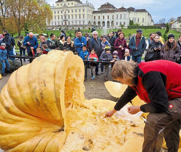 Das Kürbisschlachtfest ist das große Finale der Kürbisausstellung.