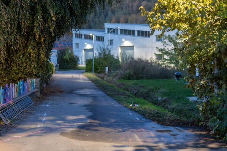 Frau und Kleinkind sterben bei Unfall mit Lastwagen