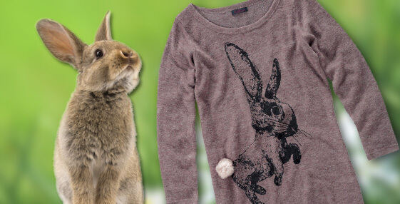 katistrends_meldung_kw11