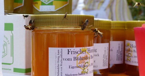 Der lokale Imkerverein verkaufte Honig und lockte damit, eher unfreiwillig, nicht nur Besucher an. Gestochen wurde aber niemand - Ulrich Pasch